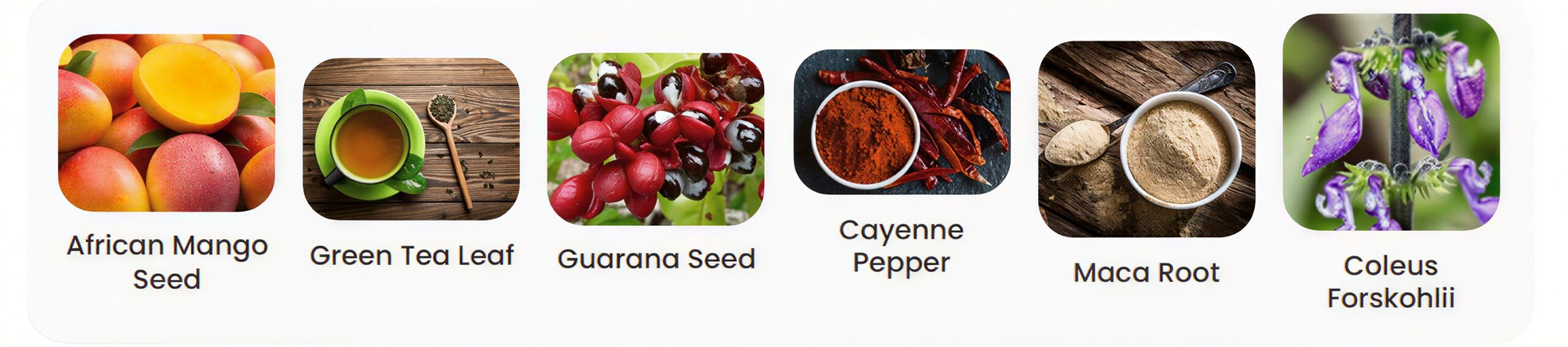 Ingredients in MounjaBoost