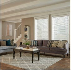 Electric Shades and Blinds