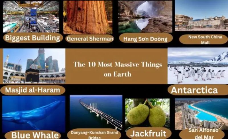 Most-Massive-Things-on-Earth