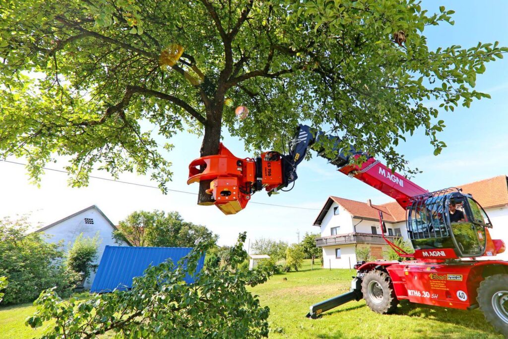 emergency tree removal service