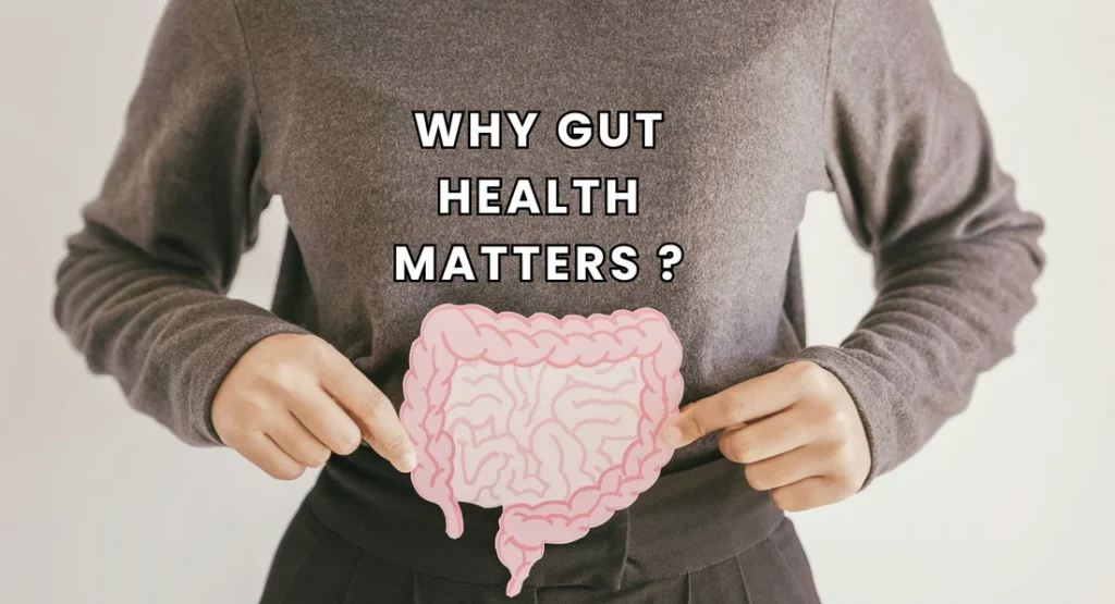 Gut Health