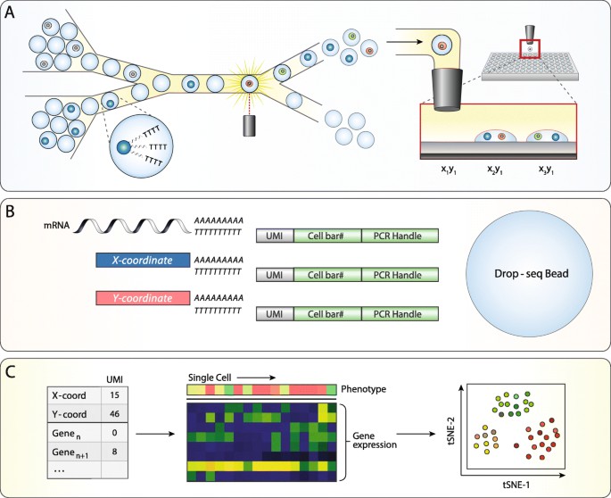 a-comprehensive-guide-to-single-cell-gene-expression-profiling