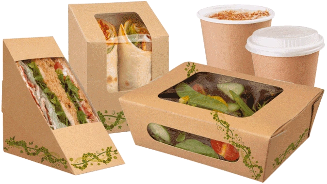 Paper or Plastic? The Fast Food Boxes Dilemma