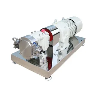 rotary lobe pump