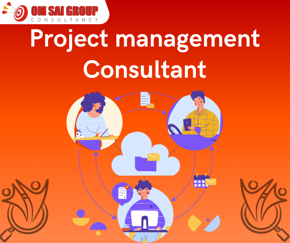 Project management consultant