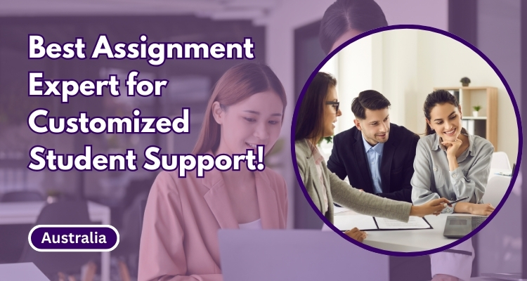 Assignment expert