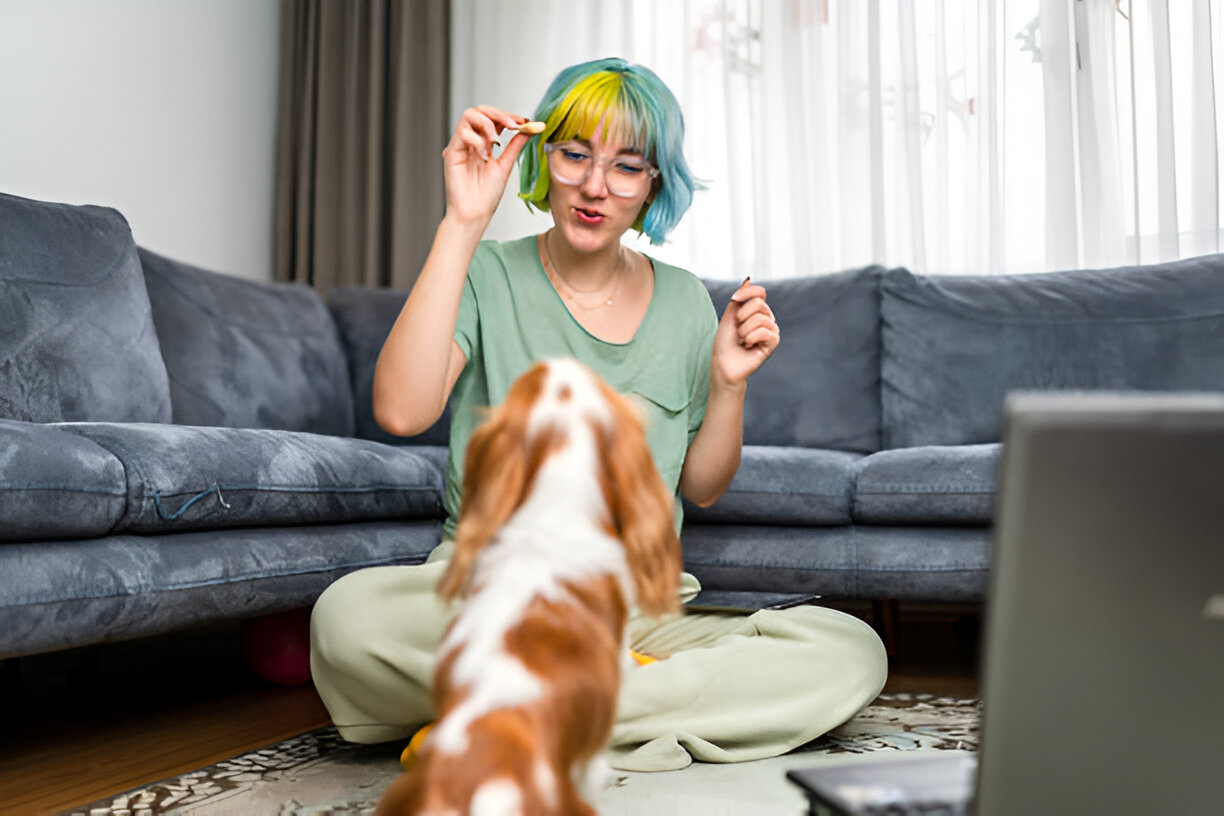 Animal Care Course Online