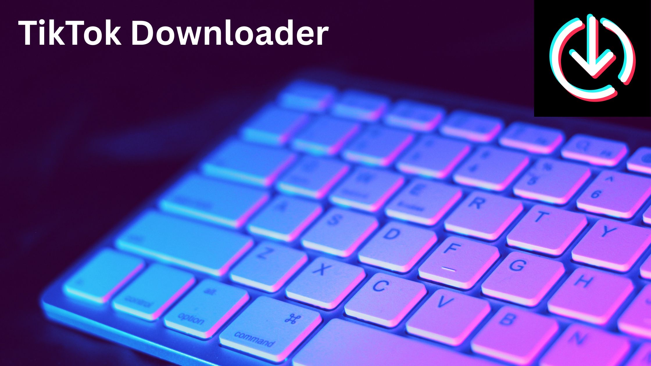 tiktok downloader