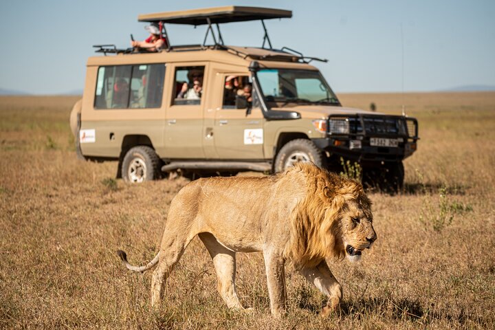Tanzania Safaris