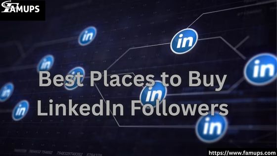 Best Places to Buy LinkedIn Followers