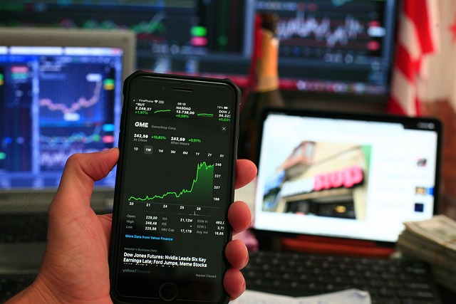 IPO Process