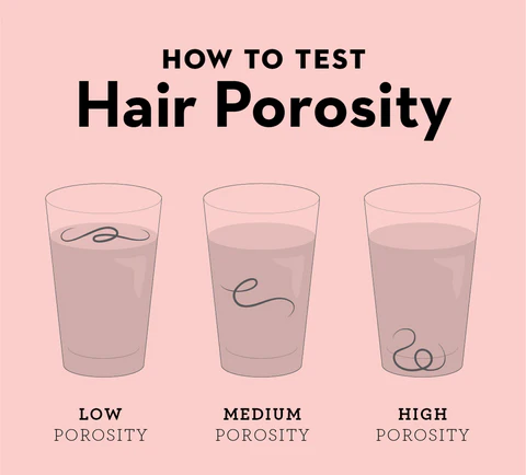Porosity Hair