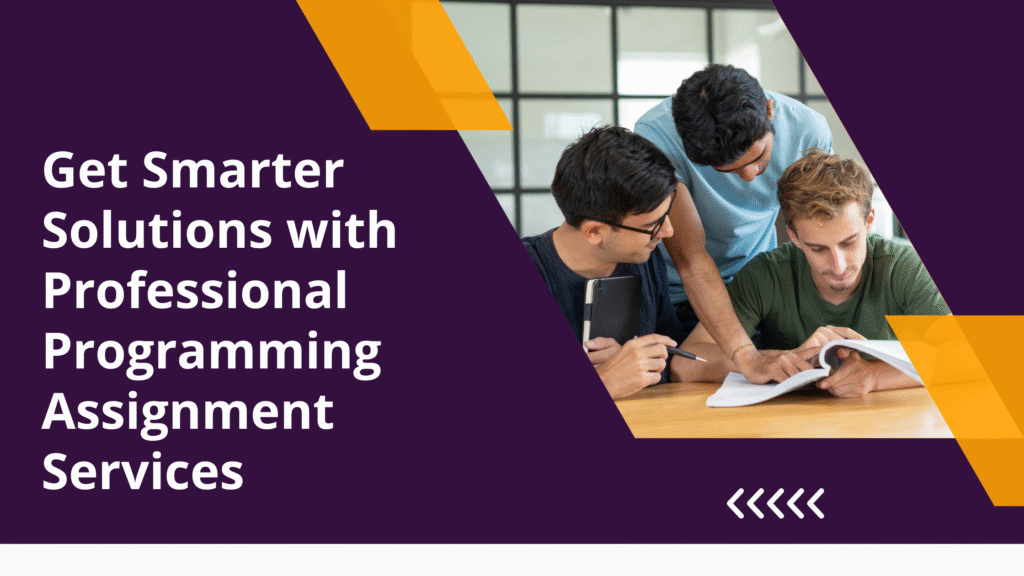 programming assignment help