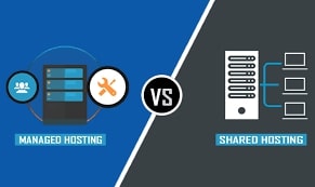 Shared vs Managed Hosting-Best Option for Business Sites in 2026