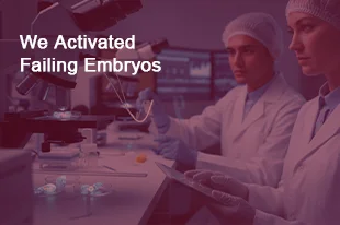 Male Infertility Doctor in Chennai