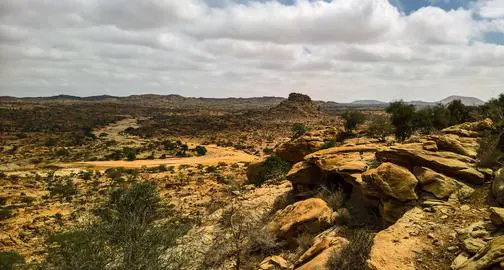 Boswellia Occulta – The Mysterious Frankincense of Ethiopia