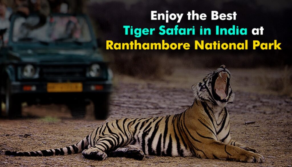 Ranthambore tiger reserve safari Park