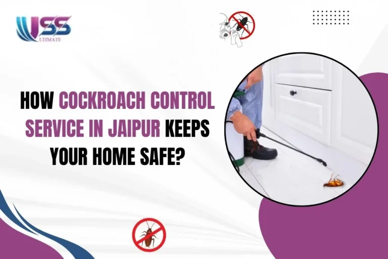 Best Pest Control for Cockroaches in Jaipur