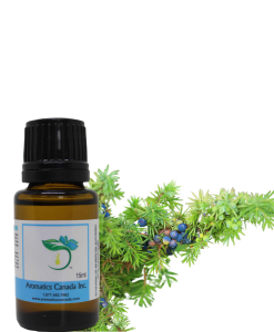 Juniper Berry Essential Oil