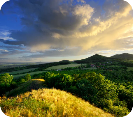 buying lordship titles