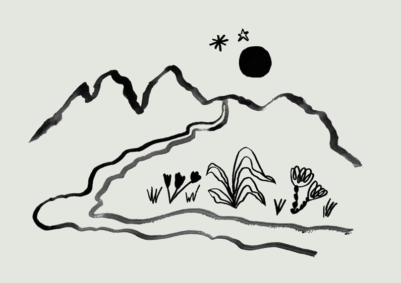 Executive Coaching UAE