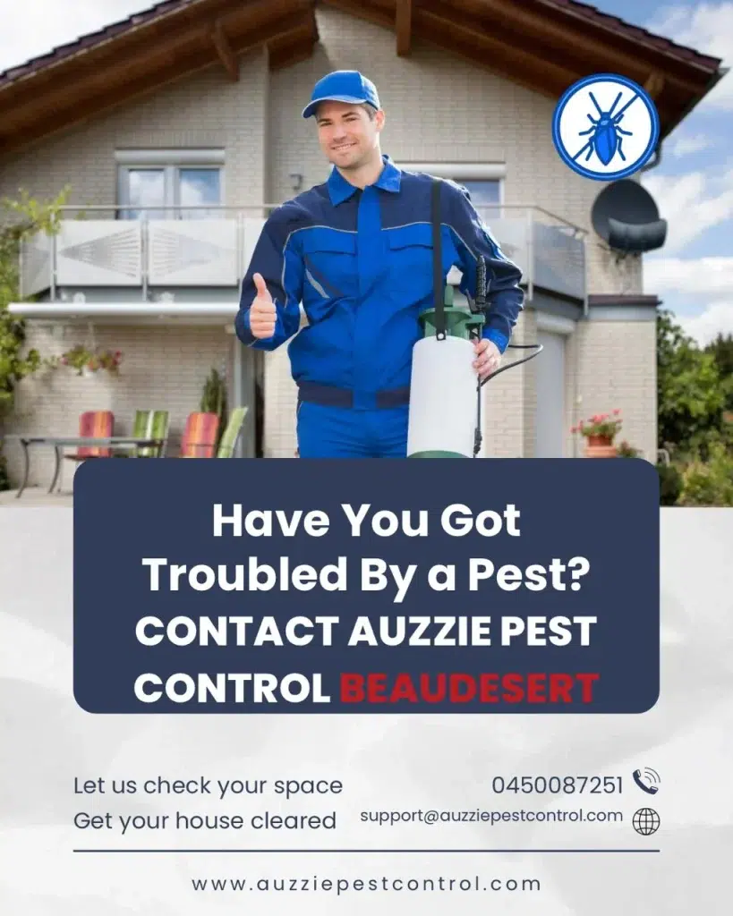 Pest Treatments Services in Beaudesert