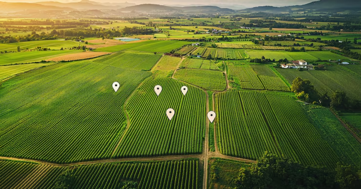 Shapoorji Pallonji Treetopia