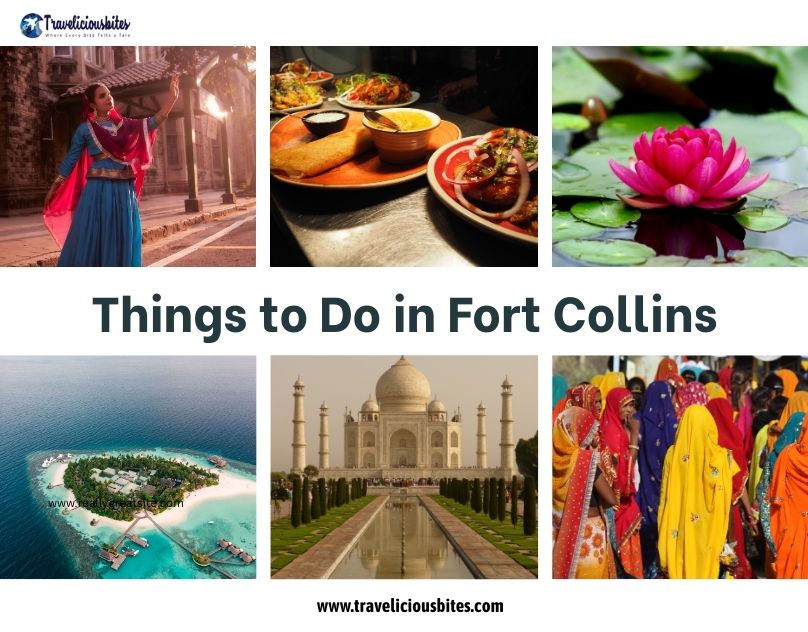 Things to Do in Fort Collins