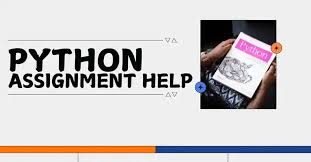 python assignment help