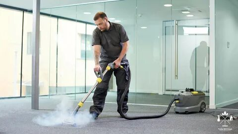 Carpet cleaner Hayden