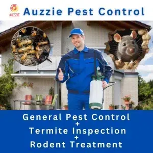 Pest Control Services in Yeronga