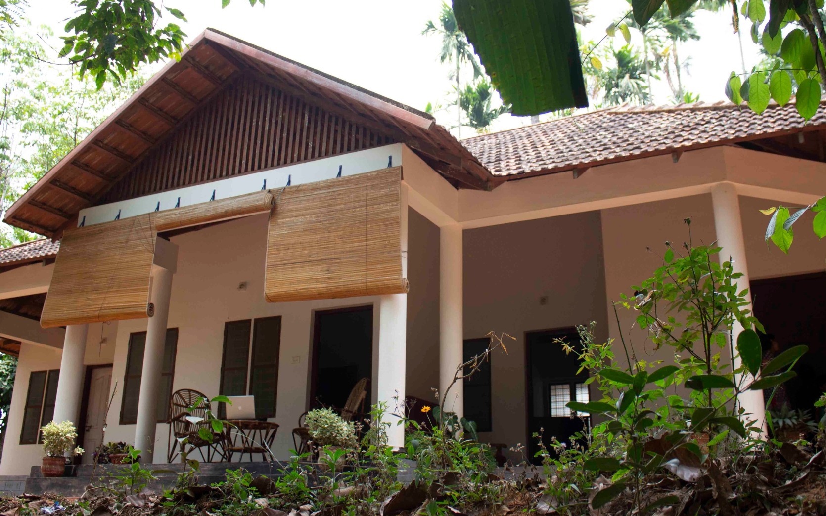 Wayanad travel experiences