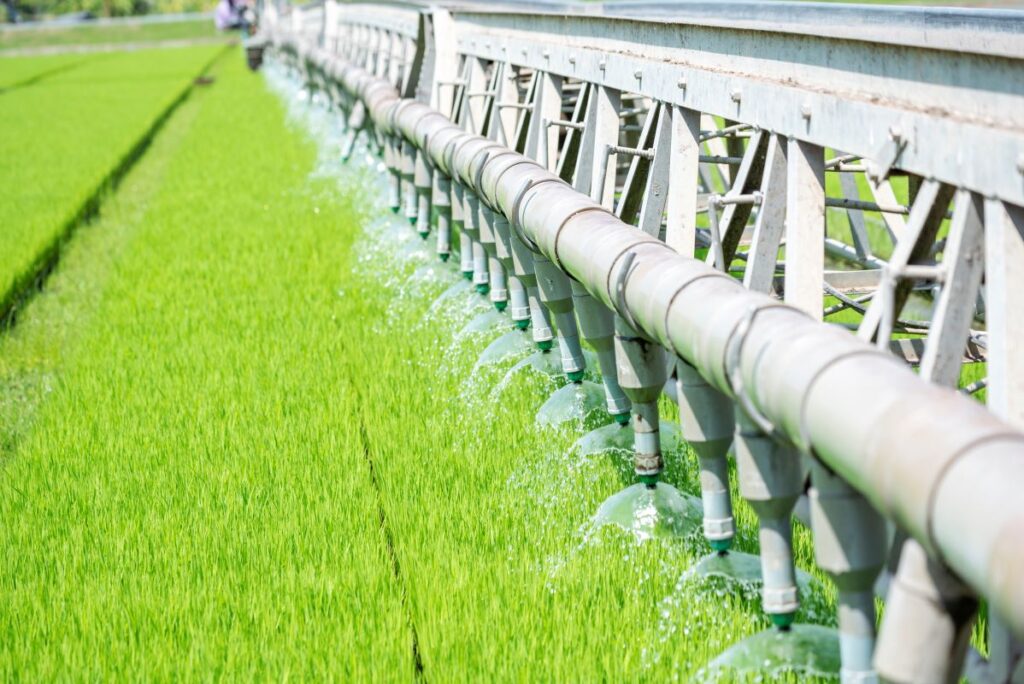 Irrigation