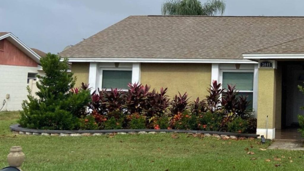 Roof Pressure Washing