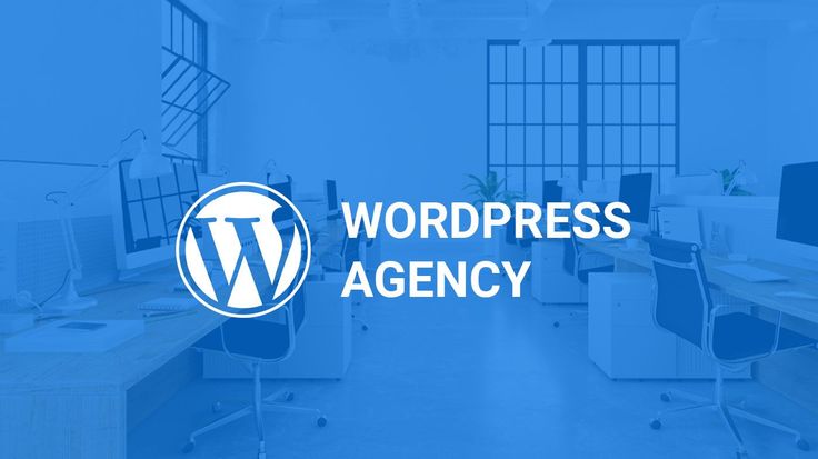 WordPress agency team designing a modern business website
