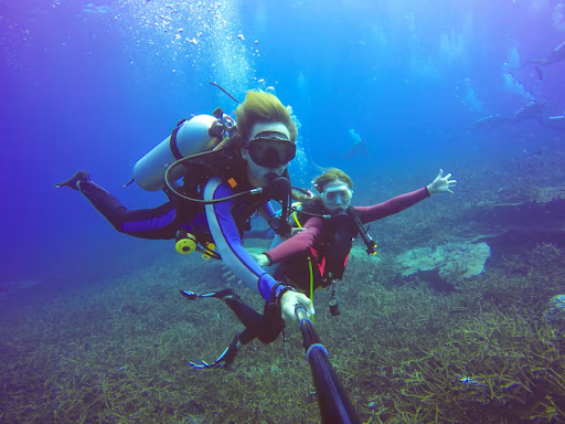 Divers