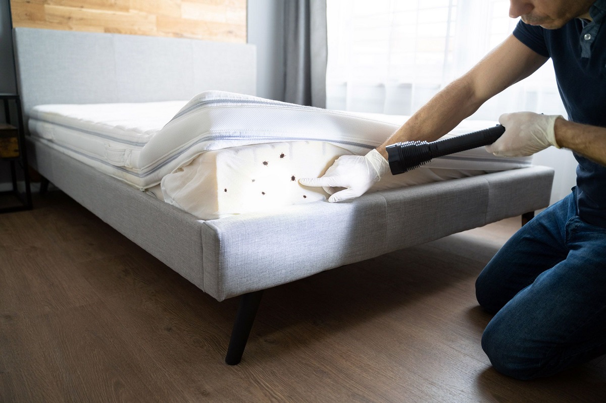 Bed Bug Removal Services Fort Wayne IN